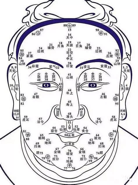 鼻翼 面相|史上最全的面相五官“算命”图文详解（精品收藏）